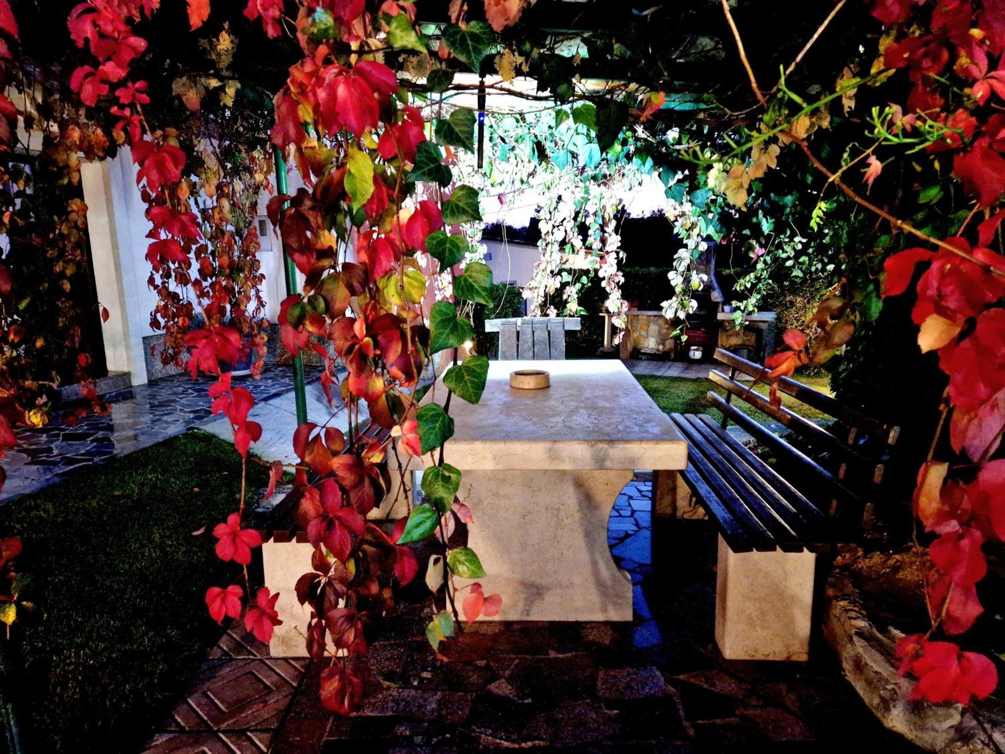 Casa Luana Villa Roč Buitenkant foto